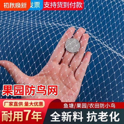 防鸟网果树果园尼龙网樱桃葡萄园防鸟用网鱼塘大棚窗户防护网