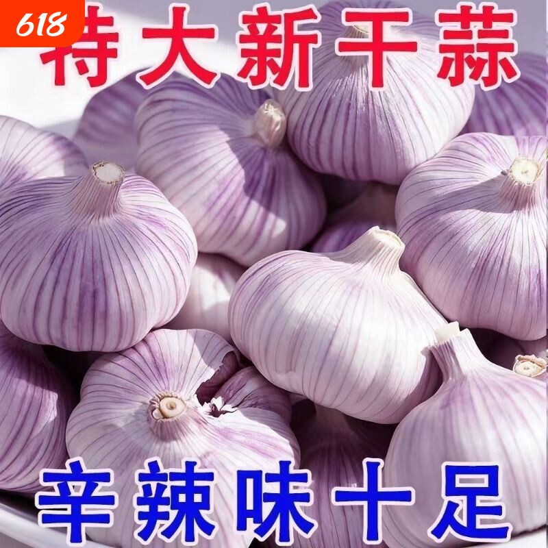 2026年新蒜头山东蒜紫皮大蒜头干蒜批发农家蒜头干大蒜新鲜紫蒜