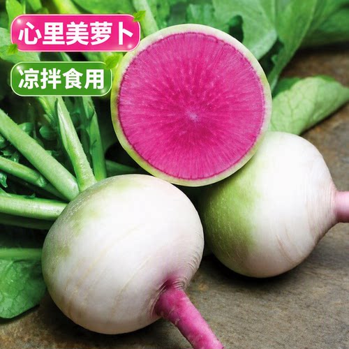 心里美萝卜红心西瓜萝卜沙拉菜生吃凉拌新鲜脆甜水大泡菜水果萝卜