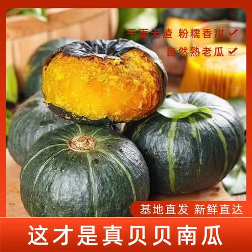 真贝贝南瓜粉糯香甜板栗南瓜露天种植自然成熟新鲜辅食粗粮