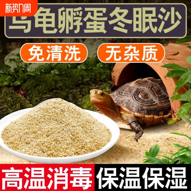 乌龟冬眠孵化产蛋细沙子龟缸造景装饰巴西龟铺底专用石头河沙苔藓