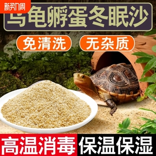 乌龟冬眠孵化产蛋细沙子龟缸造景装 饰巴西龟铺底专用石头河沙苔藓