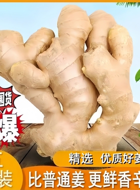 正宗山东生姜老姜大姜5斤/3斤新鲜农家黄姜月子干姜农家种植姜块