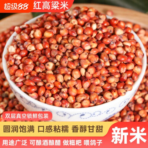东红高粱酿酒酿醋梗五谷杂粮