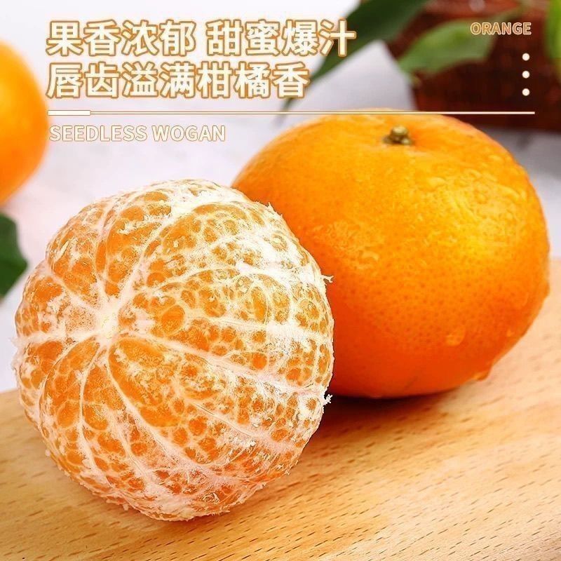 正宗广西武鸣沃柑新鲜橘子水果当季一级沙糖蜜橘砂糖柑橘大果整箱