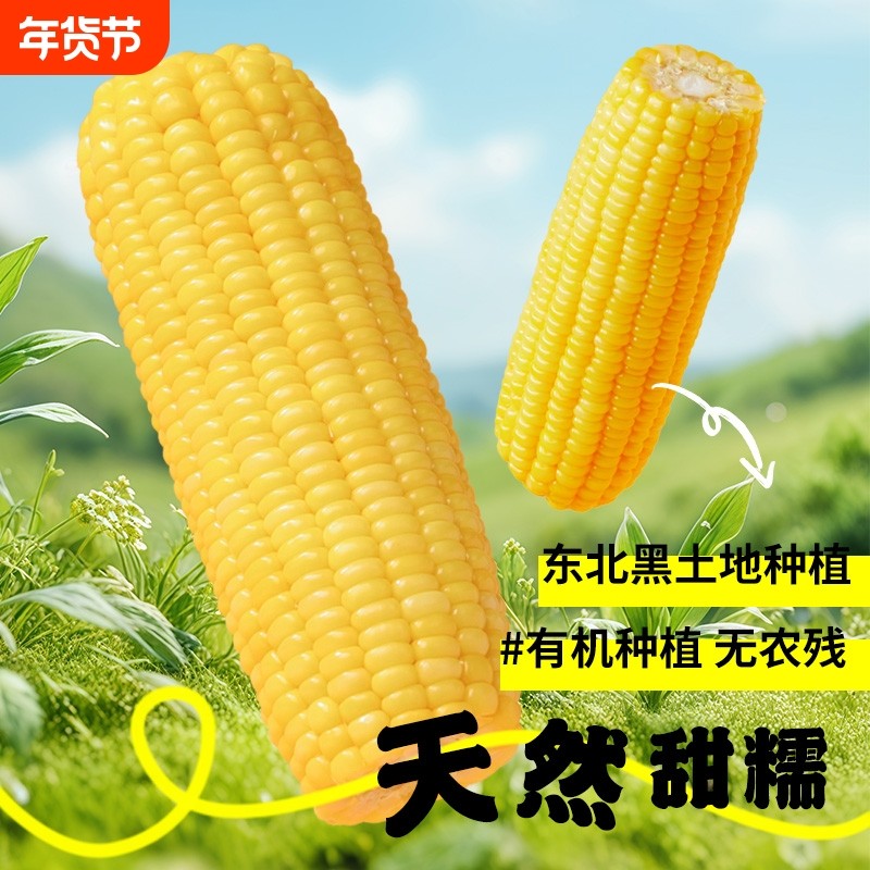 黄糯玉米棒真空低脂开袋即食代餐东北黏玉米早餐粗粮苞米香甜年货,粮油调味/速食/干货/烘焙,玉米,淘宝优惠券,粉丝福利购,淘宝优惠卷