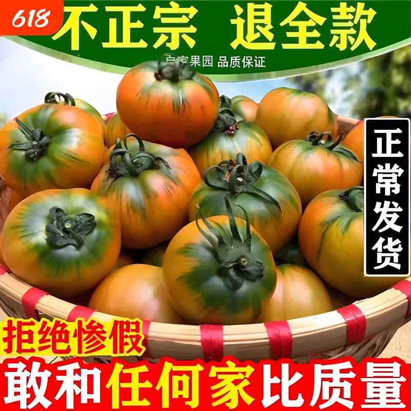 正宗东北新鲜水果西红柿农家自种草莓柿子铁皮柿子脆甜生吃番茄