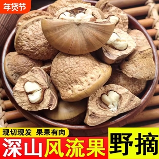 广西野生风流果正品石头果泡酒水料马古叠胖头果厚鳞柯牛大力新鲜