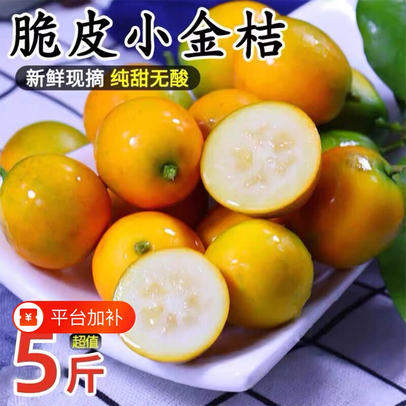 广西脆皮金桔新鲜水果桔子当季现摘甜蜜小金柑桔金橘桂林金桔整箱