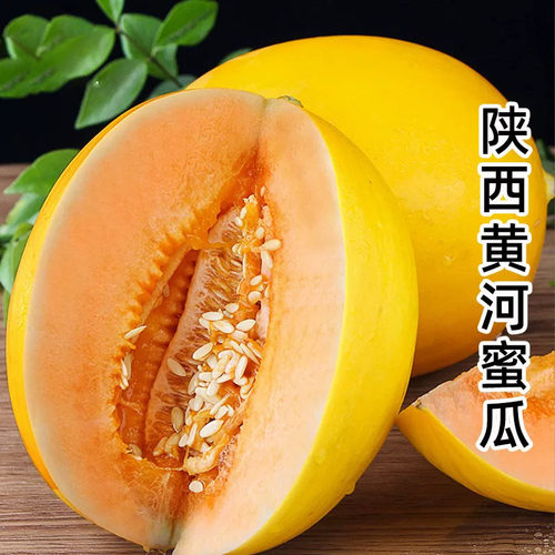 甘肃民勤蜜瓜沙漠蜜甜瓜