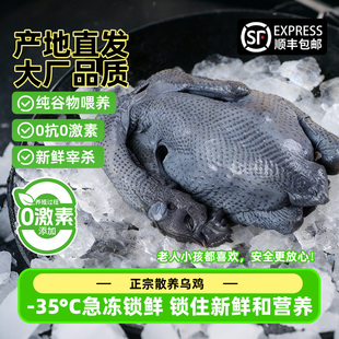 【顺丰包邮】乌鸡新鲜现杀农家散养土鸡冷冻整只老母鸡乌骨鸡煲汤
