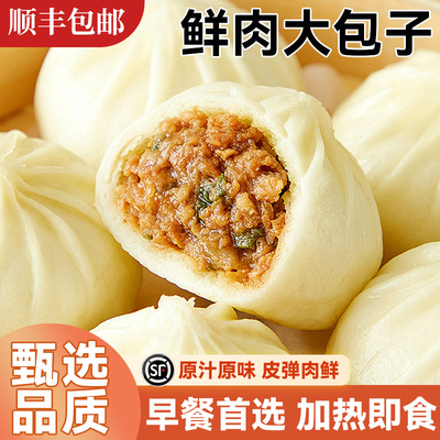 顺丰鲜肉大包子早餐半成品速食手工预制商用面食速冻馒头酱肉包邮