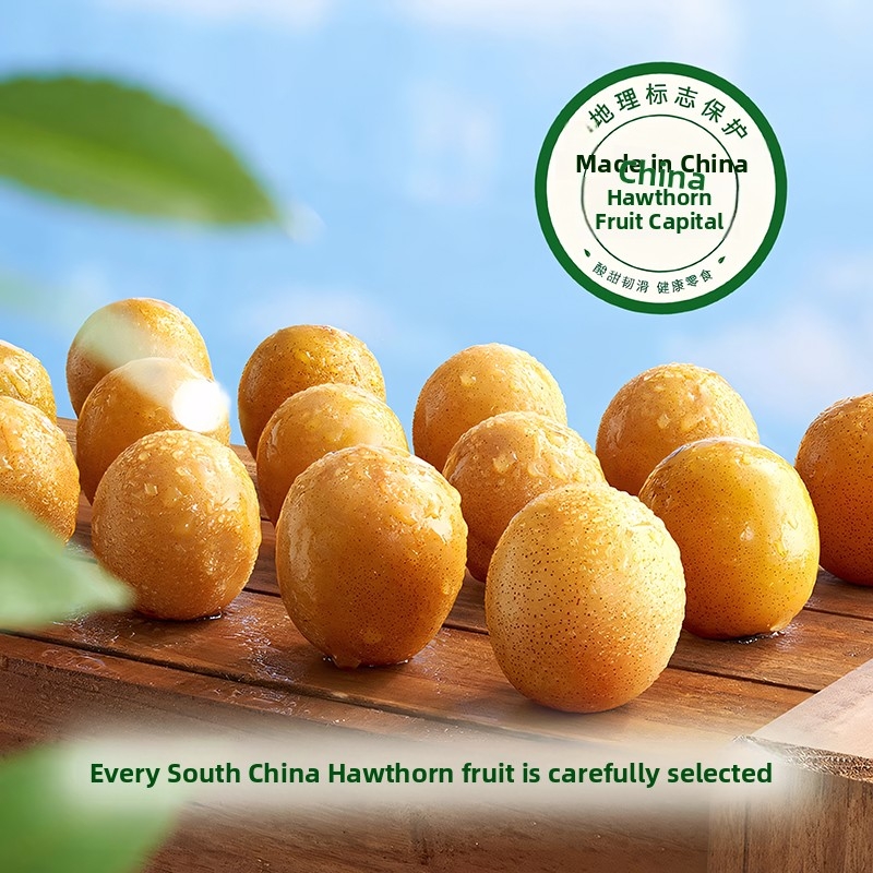 24年12月酸枣糕500g原味纯天然甜营养健康小零食鲜果小包装南酸枣