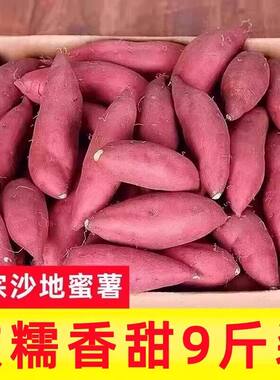 26年新鲜蜜薯沙地糖心红心地瓜农家自种黄心番薯西瓜红现挖板栗