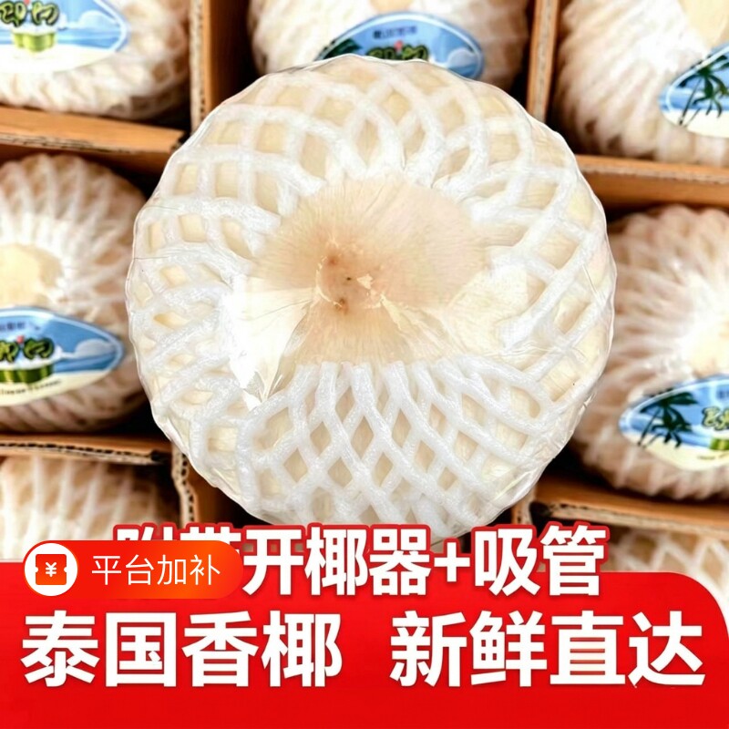 泰国进口香水椰青特大果孕妇去皮水果椰肉新鲜椰子椰汁当季无添加
