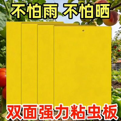 双面粘虫板诱虫板柑橘果树针蜂瓜果实蝇蓟马大棚苍蝇贴强力菜地