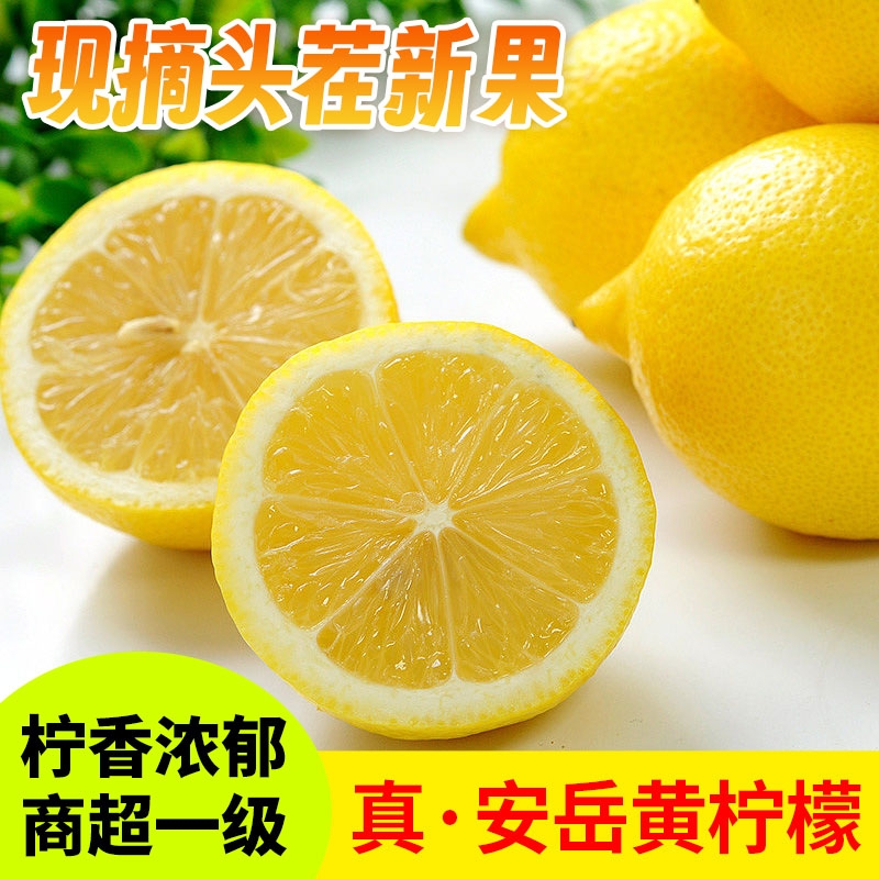 四川真安岳黄柠檬当季新鲜水果泡饮精选薄皮香水鲜甜柠檬生鲜亮袋-封面