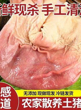 新鲜猪大肚农家散养土猪肚子冷冻批发猪大肚子整只带肚尖商用手工