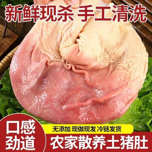 新鲜猪大肚农家散养土猪肚子冷冻批发猪大肚子整只带肚尖商用手工