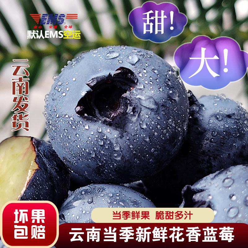 整箱EMS空运包邮云南花香蓝莓大果农场直发新鲜采摘一颗佳莓沃季