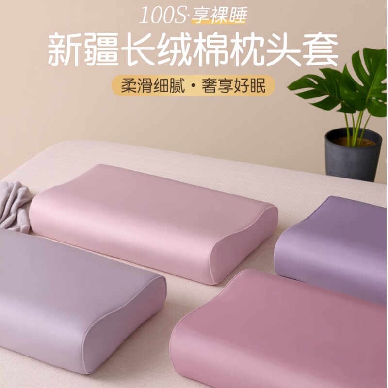 枕套100s长绒棉乳胶枕头套一对家用60x40cm纯棉记忆儿童3