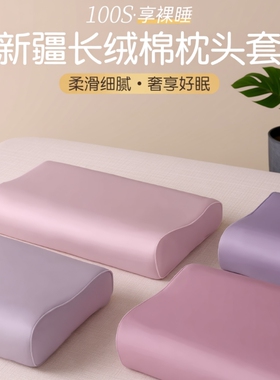100s长绒棉乳胶枕套枕头套一对家用60x40cm纯棉记忆儿童30x50内胆
