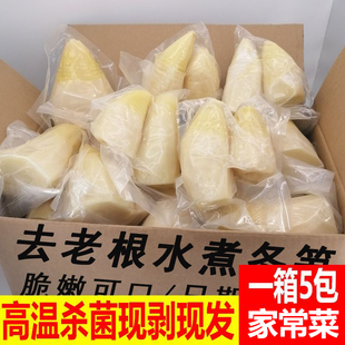 2025野生真空袋装大冬笋水煮笋新鲜楠竹笋春笋蔬菜火锅食材