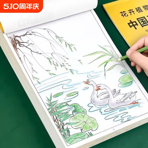 初学者花鸟描摹本|超5000次加购