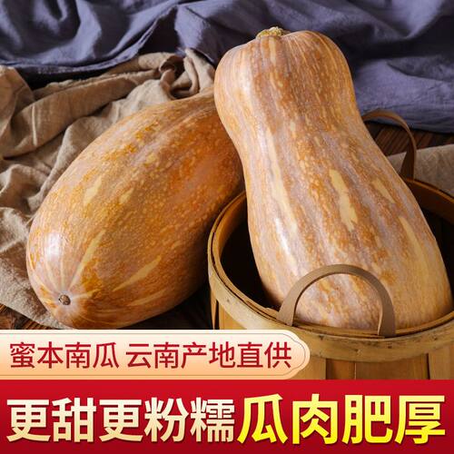 云南当季新鲜老南瓜农家自种糯面甜宝/辅/食老品种黄皮红肉南瓜