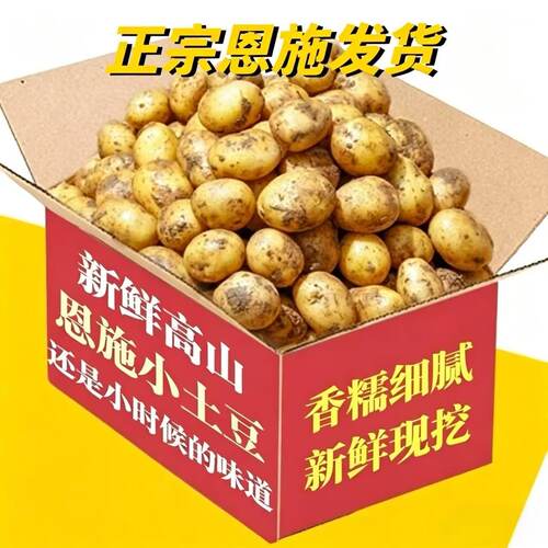 新鲜恩施小土豆迷你现挖黄心土豆洋芋农家自种蔬菜马铃薯好吃