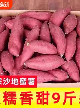 26年新鲜沙地蜜薯糖心红心地瓜农家自种黄心番薯西瓜红现挖板栗薯