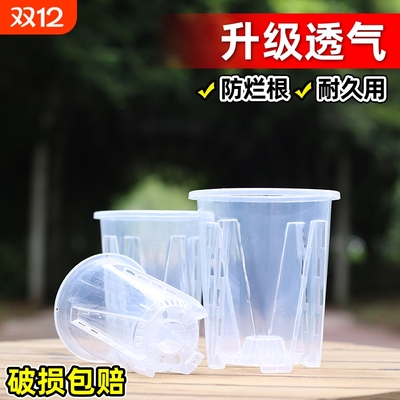 透明控根盆兰花水苔蝴蝶兰专用花盆塑料透气镂空大号家用君子
