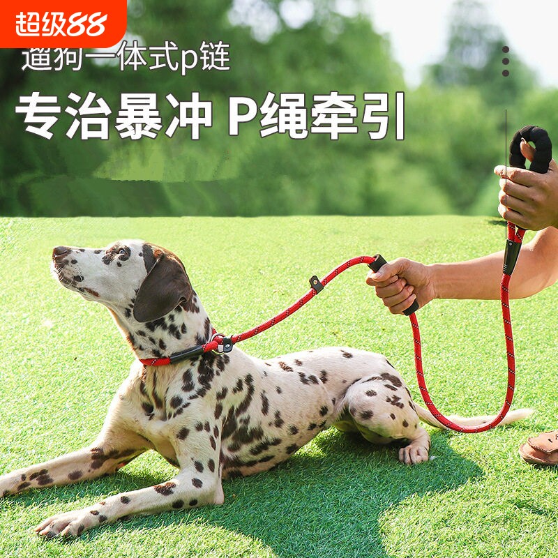 P绳狗狗牵引绳子小中大型犬专业训犬防爆冲金毛萨摩耶宠物遛狗P链
