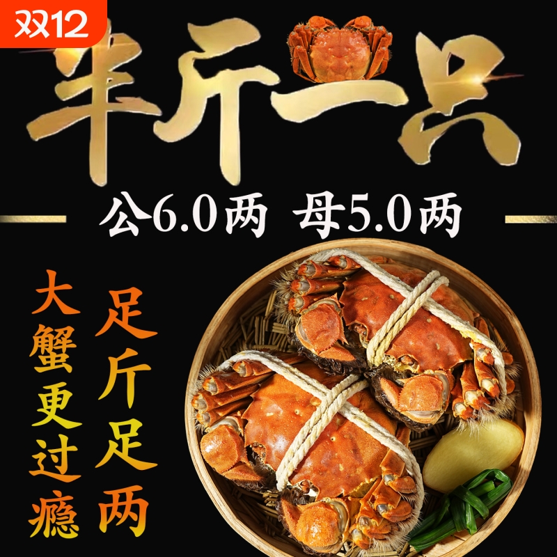 【精挑只只满黄】精品大闸蟹鲜活螃蟹全母公超特大河蟹礼盒苏州发