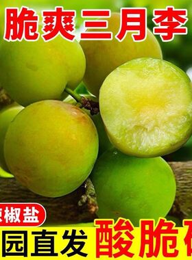 脆爽三月李新鲜李子当季水果酸脆硬爽又多汁饱满送辣椒盐果园直发