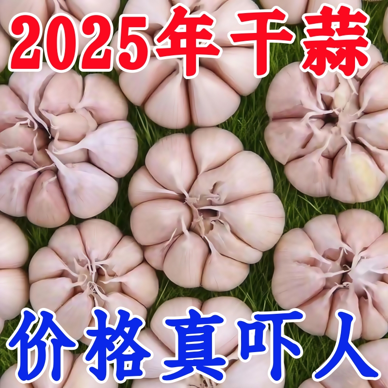 【品质好】2025年新干蒜正宗紫皮干大蒜新干蒜清仓批发原种大蒜头