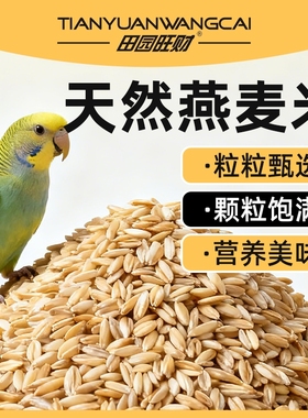 鹦鹉训练奖励零食辅食油葵黑瓜子加纳利子燕麦麻子南瓜子苏丹草籽