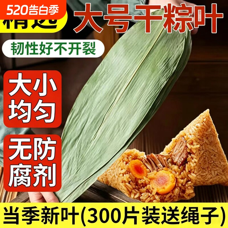 粽子叶粽叶干大号棕叶新鲜包粽子的竹叶子干粽叶商用箬叶批发材料