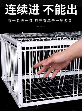 天落笼鸽子笼鸽子活络门