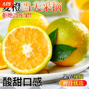 正宗秭归夏橙新鲜当季水果湖北时令包邮整箱橙子大果现摘榨汁鲜橙