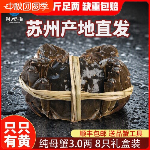 苏州大闸蟹海鲜产地鲜活螃蟹公4全母3两8只高端礼盒装顺丰精品