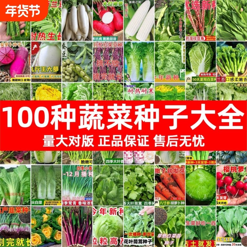菜籽种大全四季蔬菜胡萝卜芹菜香菜籽生菜菠菜芥菜青菜大白菜种子,鲜花速递/花卉仿真/绿植园艺,红掌/凤梨/温室花卉,淘宝优惠券,粉丝福利购,淘宝优惠卷
