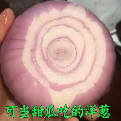 水果洋葱脆甜多汁不辣脆嫩多汁可以生吃应季蔬菜水果整箱发货新鲜