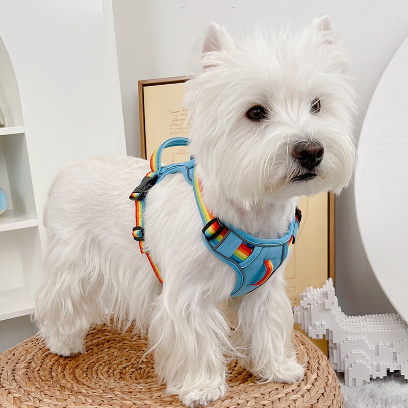 防挣脱宠物胸背牵引绳 小型犬轻量化外出背心式狗猫用反光遛狗绳