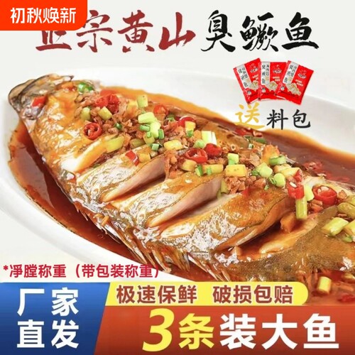 【3条】臭鳜鱼臭桂鱼净膛约