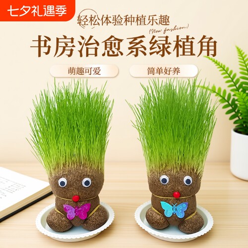 趣味长草娃娃小盆栽简单好养