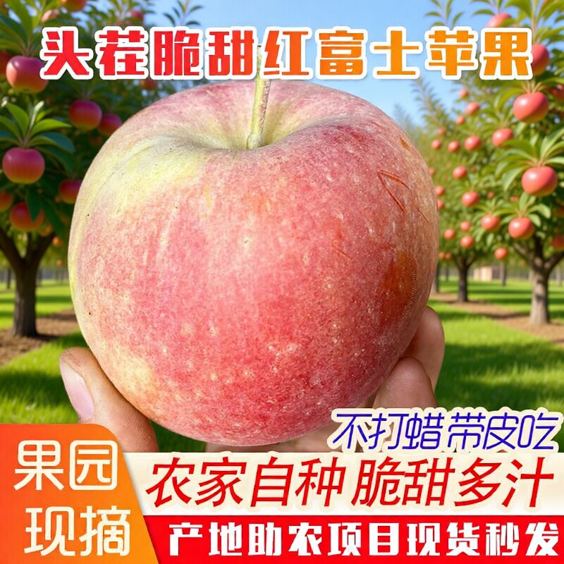 新鲜水果当季整箱山东红富士丑苹果9斤冰糖心脆平果特价5脆甜多汁