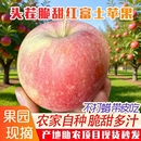 新鲜水果当季 5脆甜多汁 整箱山东红富士丑苹果9斤冰糖心脆平果特价