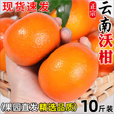 云南沃柑新鲜水果当季现摘蜜橘沙砂糖大桔子橘子柑橘正宗整箱包邮