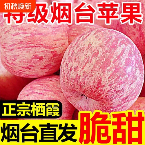 山东烟台红富士苹果水果新鲜栖霞冰糖心苹果整箱包邮当季脆甜多汁